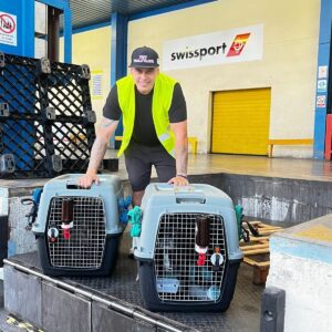 GUARDIAN PET RELOCATION